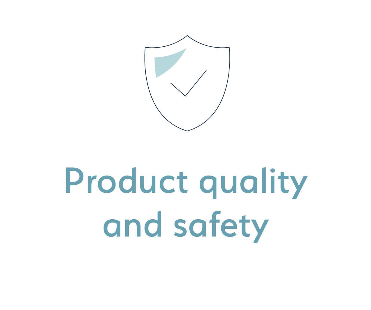 Product quality and safety icon